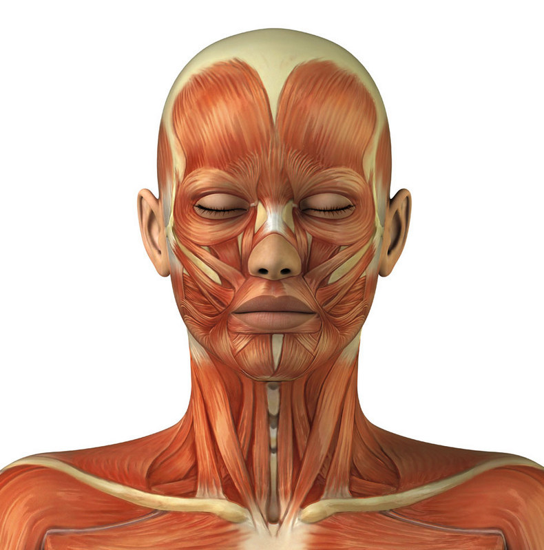 4 мышечных зажима шеи и головы, которые не дают нормально жить