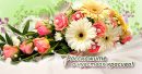 Компания, дарящая радость и шикарные букеты Компания, дарящая радость и шикарные букеты
