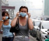 Каждое пятое заболевание вызвано неблагоприятной экологией