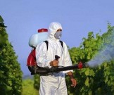 6 продуктов, содержащие эндокринные разрушители 6 продуктов, содержащие эндокринные разрушители
