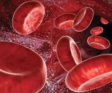 Народные средства, укрепляющие стенки кровеносных сосудов Народные средства, укрепляющие стенки кровеносных сосудов