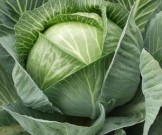 Продукты, способные защитить сердце в жару