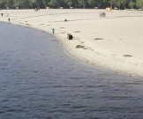Чем можно заразиться во время купания в водоемах: от кишечных инфекций до глистов Чем можно заразиться во время купания в водоемах: от кишечных инфекций до глистов
