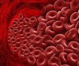 Повысить гемоглобин можно за один день Повысить гемоглобин можно за один день