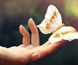 Чтобы быть счастливым, не нужно сверхъестественных усилий