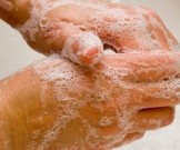 Профилактика паразитарных заболеваний Профилактика паразитарных заболеваний