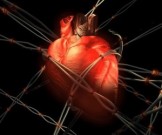 Как избежать сердечного приступа в жару Как избежать сердечного приступа в жару