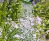 Работа в саду и огороде продлевает жизнь