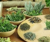 Лечение тромбофлебита средствами народной медицины Лечение тромбофлебита средствами народной медицины