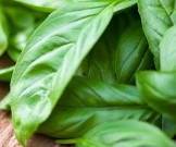 Народные средства для оказания первой помощи: 8 рецептов