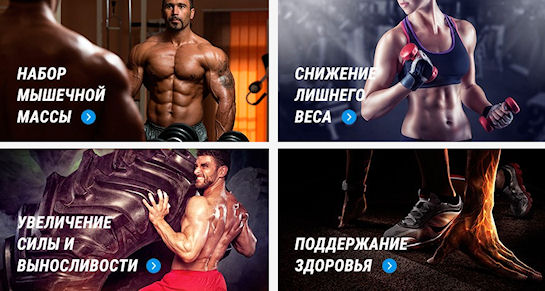 Интернет портал, посвященный спортивному питанию Интернет портал, посвященный спортивному питанию
