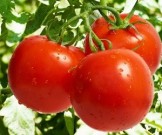 12 продуктов, которые спасут от обезвоживания 12 продуктов, которые спасут от обезвоживания