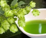 Лекарственные сборы для профилактики болезней сердца и крови