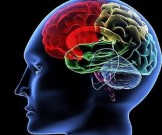 Трудоголизм может стать причиной развития слабоумия Трудоголизм может стать причиной развития слабоумия