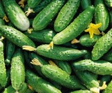 Определен самый полезный продукт для худеющих
