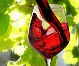 С чем нельзя сочетать алкоголь С чем нельзя сочетать алкоголь
