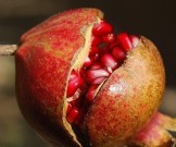 Еда вместо ботокса: ТОП-6 продуктов для красивой кожи Еда вместо ботокса: ТОП-6 продуктов для красивой кожи