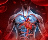 Очищение крови: старинные рецепты Очищение крови: старинные рецепты