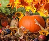 Продукты, которые рекомендуют употреблять осенью диетологи
