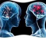 В мозге женщин и мужчин обнаружены новые различия