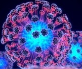 Ученым удалось омолодить стволовые клетки Ученым удалось омолодить стволовые клетки