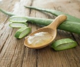 3 растения, которые помогут заживить раны 3 растения, которые помогут заживить раны