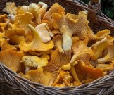 Настоящие яды: 7 опасных продуктов, которые мы все очень любим есть!