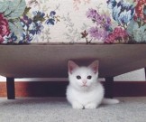 Психологи назвали 6 фраз, которые заставляют чувствовать себя виноватым