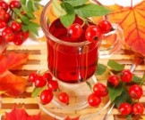 Шиповник: целебные свойства