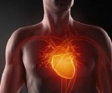 4 рецепта для лечения и профилактики ишемической болезни 4 рецепта для лечения и профилактики ишемической болезни