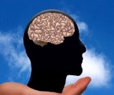 Ученые поведали о пользе забывчивости для развития интеллекта