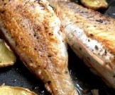 Правила выбора рыбы и морепродуктов Правила выбора рыбы и морепродуктов