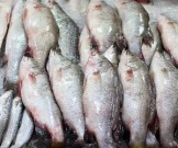 Как правильно готовить речную рыбу: главные секреты Как правильно готовить речную рыбу: главные секреты