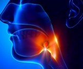 8 важнейших частей тела, о которых мы ничего не знаем