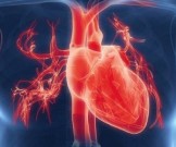 7 признаков того, что с вашим сердцем не все в порядке
