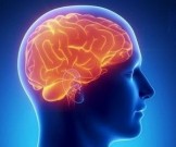 14 вредных для мозга привычек 14 вредных для мозга привычек