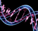 Генетики нашли необычную связь между диабетом и болезнями сердца