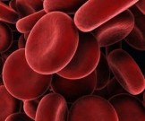 Универсальная витаминная смесь для повышения гемоглобина