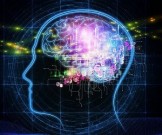 5 лучших привычек, которые помогут сохранить молодость мозга 5 лучших привычек, которые помогут сохранить молодость мозга