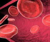 Медики назвали самую опасную группу крови Медики назвали самую опасную группу крови