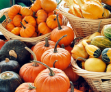 10 лучших продуктов осени 10 лучших продуктов осени