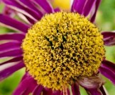 5 привычек, которые отбирают молодость 5 привычек, которые отбирают молодость