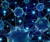 В Киеве состоится Научно-практическая конференция «Современные технологии в нейрохирургии» В Киеве состоится Научно-практическая конференция «Современные технологии в нейрохирургии»