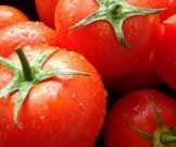 Назван овощ, который снижает риск развития рака простаты Назван овощ, который снижает риск развития рака простаты
