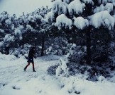 Прогулки на свежем воздухе не всегда полезны Прогулки на свежем воздухе не всегда полезны