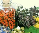 5 натуральных средств для очищения и оздоровления сосудов 5 натуральных средств для очищения и оздоровления сосудов