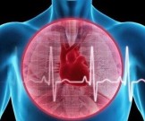 Ученые рассказали, как быстро и без лекарств побороть приступ тахикардии Ученые рассказали, как быстро и без лекарств побороть приступ тахикардии