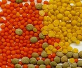 ТОП-15 источников растительного белка ТОП-15 источников растительного белка