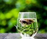 Семь продуктов, которые помогут лучше работать Семь продуктов, которые помогут лучше работать