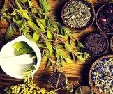 Травы для повышения потенции Травы для повышения потенции